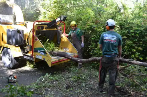 tree services Mulberry Grove